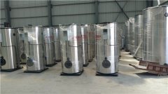  一吨燃气冷凝华体会世界杯(中国)科技有限公司