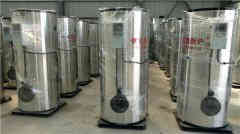  四吨燃气低氮华体会世界杯(中国)科技有限公司