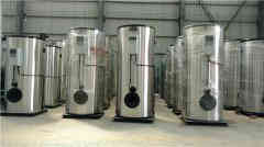  12吨低氮蒸汽华体会世界杯(中国)科技有限公司