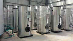  12吨大型热水华体会世界杯(中国)科技有限公司