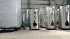 20t燃气热水华体会世界杯(中国)科技有限公司