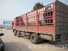 电华体会世界杯(中国)科技有限公司电华体会世界杯(中国)科技有限公司