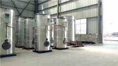 d型燃气蒸汽华体会世界杯(中国)科技有限公司