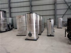 CWNS2.8型燃油气热水华体会世界杯(中国)科技有限公司