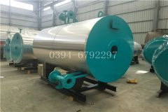 0.1吨燃煤热水华体会世界杯(中国)科技有限公司