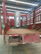 0.5吨低氮冷凝华体会世界杯(中国)科技有限公司