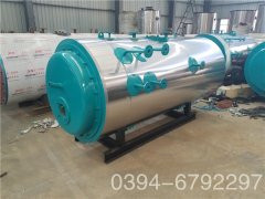 20吨低氮华体会世界杯(中国)科技有限公司