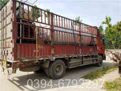 华体会世界杯(中国)科技有限公司蒸汽系统