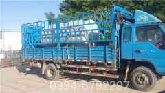 最小型燃煤蒸汽华体会世界杯(中国)科技有限公司