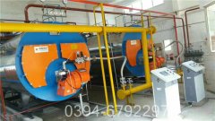 4吨生物质华体会世界杯(中国)科技有限公司