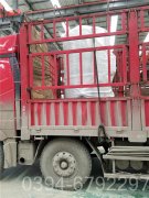 80万大卡立式燃气热水华体会世界杯(中国)科技有限公司