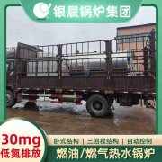 WNS0.7-1.0-QY环保蒸汽华体会世界杯(中国)科技有限公司太康银晨华体会世界杯(中国)科技有限公司