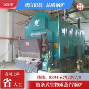 12吨节能蒸汽华体会世界杯(中国)科技有限公司太康银晨华体会世界杯(中国)科技有限公司