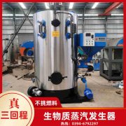 0.2吨低氮冷凝蒸汽华体会世界杯(中国)科技有限公司银晨华体会世界杯(中国)科技有限公司