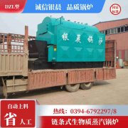 0.2吨低氮冷凝蒸汽华体会世界杯(中国)科技有限公司太康银晨华体会世界杯(中国)科技有限公司