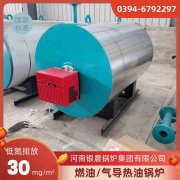 20吨燃煤华体会世界杯(中国)科技有限公司价格