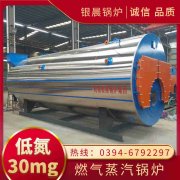 1吨真空燃气华体会世界杯(中国)科技有限公司