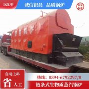 6吨低氮华体会世界杯(中国)科技有限公司