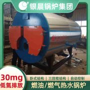 8吨低氮华体会世界杯(中国)科技有限公司