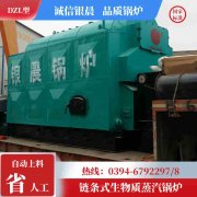 燃甲醇华体会世界杯(中国)科技有限公司