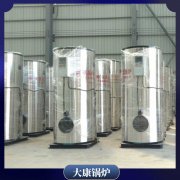 智能蒸汽华体会世界杯(中国)科技有限公司WNS4出口三十余个国家