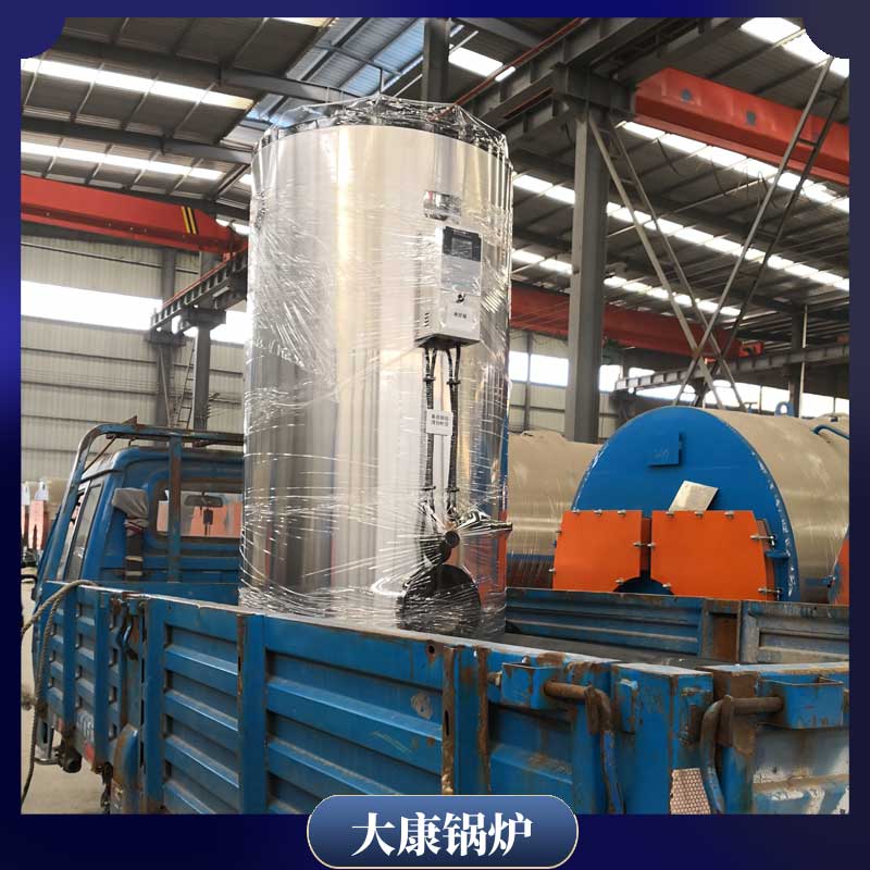 两用两吨生物质华体会世界杯(中国)科技有限公司