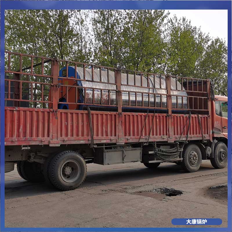 两用两吨生物质华体会世界杯(中国)科技有限公司