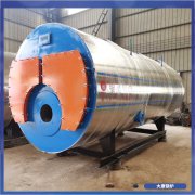 河北YYQW-700低氮华体会世界杯(中国)科技有限公司