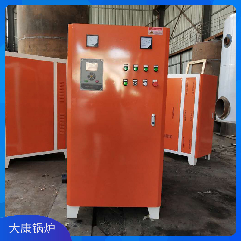 4吨生物质生物质华体会世界杯(中国)科技有限公司