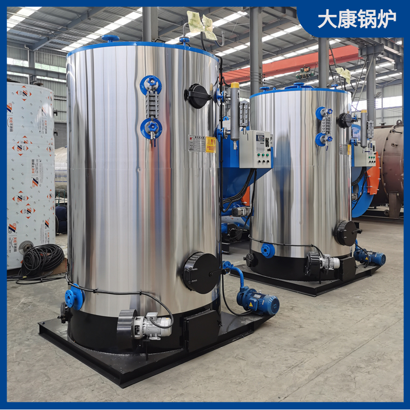 立式生物质蒸汽华体会世界杯(中国)科技有限公司1