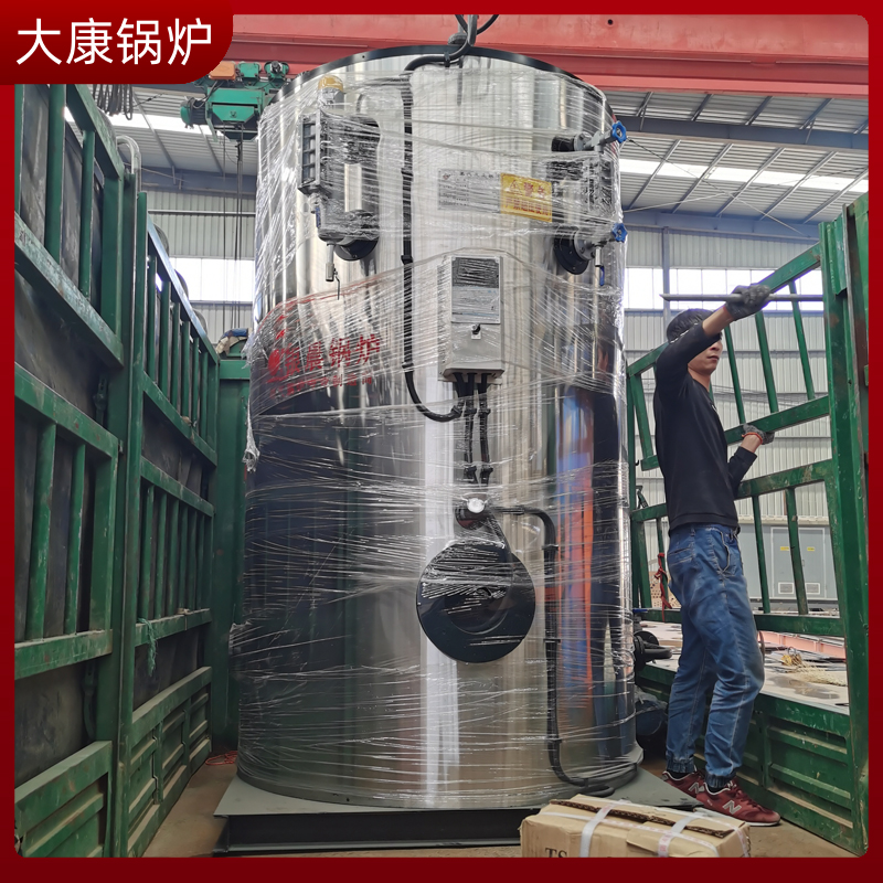 10蒸吨生物质蒸汽华体会世界杯(中国)科技有限公司