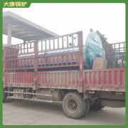 福建12t冷凝热水华体会世界杯(中国)科技有限公司