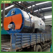 青海6t低氮热水华体会世界杯(中国)科技有限公司