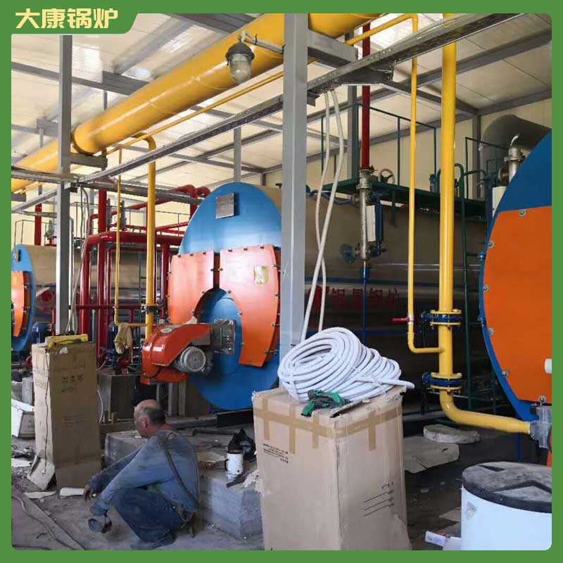 4吨生物质生物质华体会世界杯(中国)科技有限公司