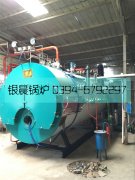 WNS2-1.25-Q型2吨燃气蒸汽华体会世界杯(中国)科技有限公司安装现场