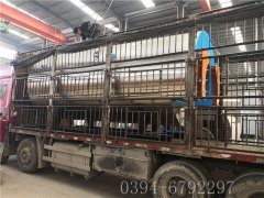 6吨燃气蒸汽华体会世界杯(中国)科技有限公司