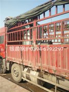 LSS0.5-1.0-Q型0.5吨贯流式燃气蒸汽华体会世界杯(中国)科技有限公司发货